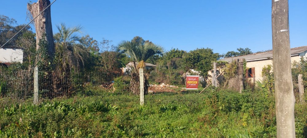 Terreno - Venda - Cidade Baixa - Buti - RS