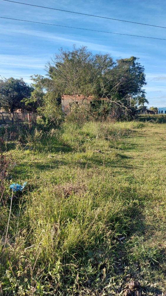 Terreno - Venda - So Jos - Buti - RS