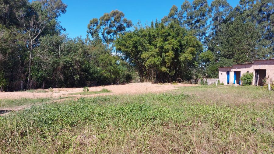 Terreno - Venda - Vila Tup� - Buti� - RS