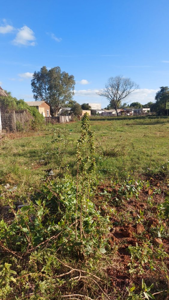 Terreno - Venda - So Jos - Buti - RS