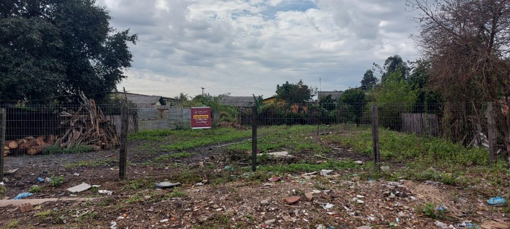Terreno - Venda - Vila Julieta - Buti - RS