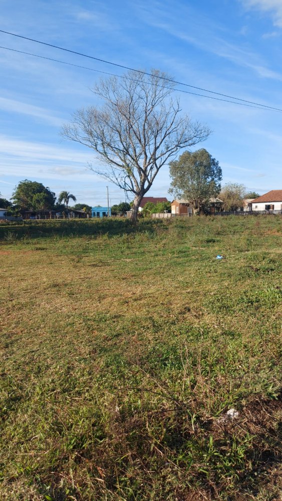 Terreno - Venda - So Jos - Buti - RS